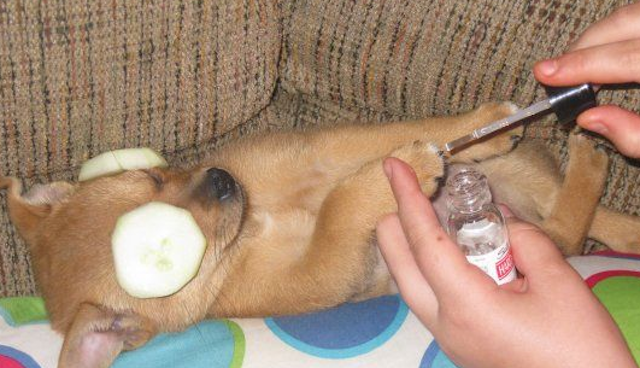 tumblr_lx9fm1SrBQ1r9a5ako1_1280