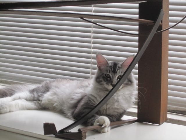 Beatrix in Caro's "Table Piece, Z" (1980)