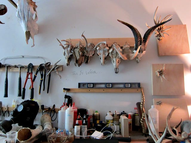 Studio of Tone Connors