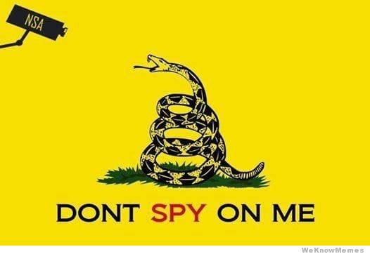 Based on the classic "Don't Tread on Me" flag from (via weknowmemes.com)