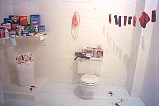 Judy Chicago, "Menstruation Bathroom" (1972) (via periodtumblr.tumblr.com)