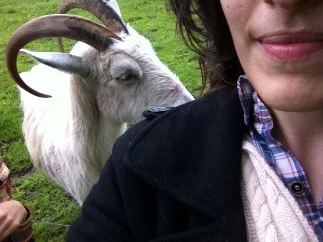 Sophia Wallace, The Artsy Half-Smile Selfie (2013)