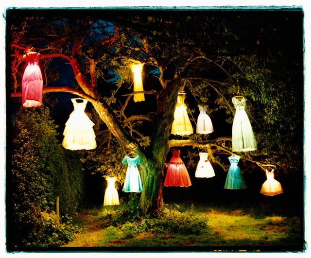 Tim Walker, "The dress/lamp tree Eglingham Hall, Northumberland, England" (2002) (©Tim Walker, Dreamscapes at The Bowes Museum)