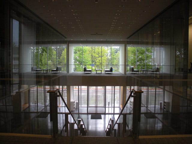 Light and shadows fill the Wellin