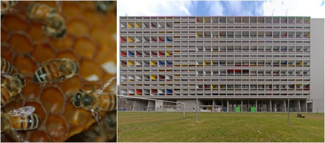 A bee hive (via Wikimedia);  Le Corbusier's Unité d'habitation (photograph by Seb Perez-Duarte/Flickr user)