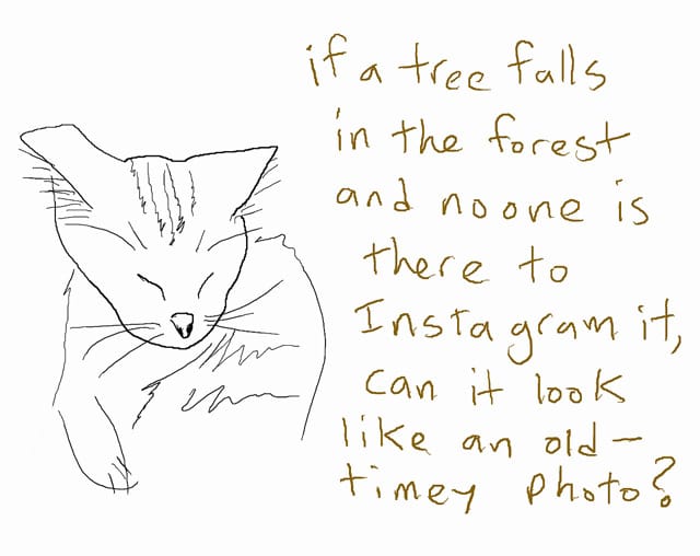 (via omgewebcats.tumblr.com)