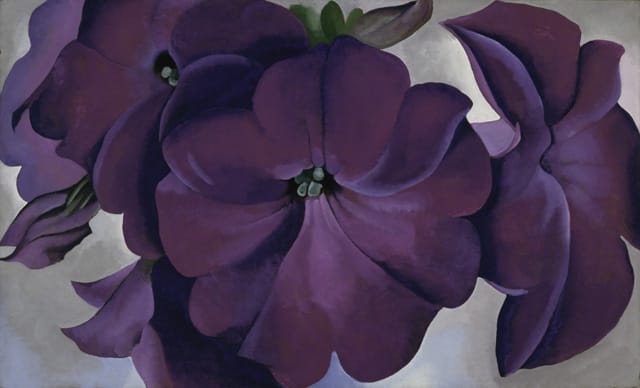 Petunias, 1925, Oil on board, 18 x 30 in. Fine Arts Museum of San Francisco, Museum purchase, Gift of the M. H. de Young Family, 1990.55 / © Georgia O’Keeffe Museum/Artist Rights Society (ARS), New York