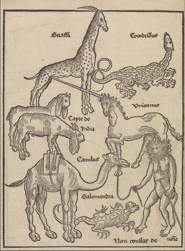 "Animals of the Holy Land," from "Peregrinatio in terram sanctam (Pilgrimage to the  Holy Land)," written by Bernhard von Breydenbach; woodcuts by Erhard  Reuwich;  Printed in Mainz (1486) (© The Metropolitan Museum of Art, New York)