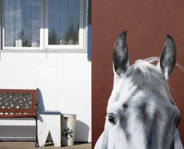 white wall white horse bigoudi