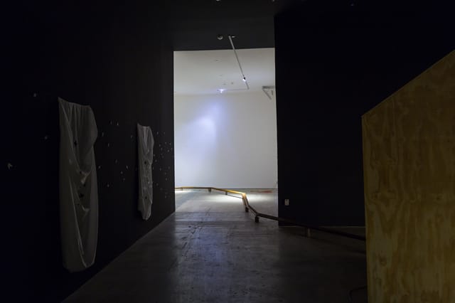 Installation view. Enrique Martínez Celaya: The Pearl. SITE Santa Fe. July-October 2013. (photograph by Eric Swanson)