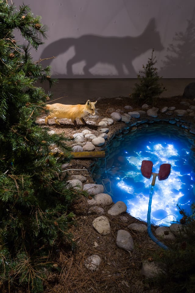 Installation view. Enrique Martínez Celaya: The Pearl. SITE Santa Fe. July-October 2013. (photograph by Eric Swanson)