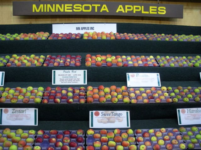 Minnesota apples