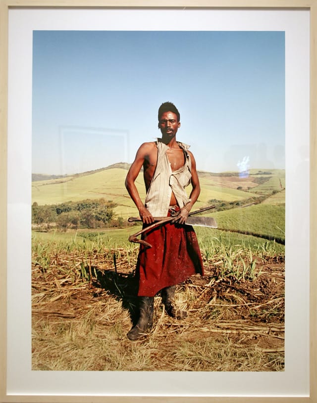 Zwelethu Mthethwa, Untitled (from the "Sugar Cane" series) (2007), c-print (photo by cliff1066/Flickr)