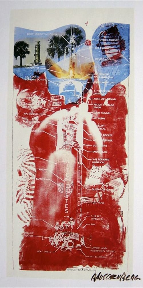 Robert Rauschenberg, "Sky Garden" (1969), lithograph on canvas. For this piece, part of the Stoned moon series, NASA gave Rauschenberg scientific maps, charts, and photographs from the Apollo 11 launch