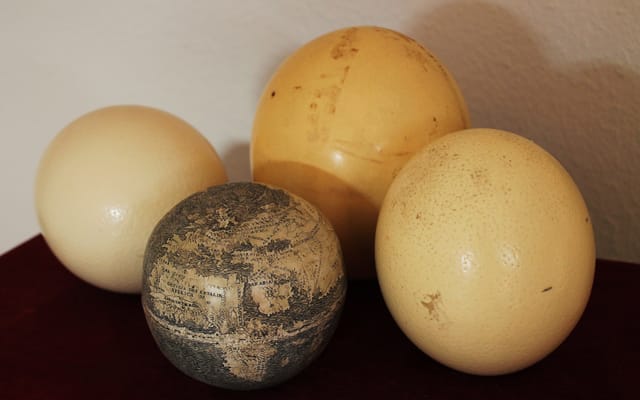 Ostrich Egg Globe with other ostrich eggs (courtesy Washington Map Society)