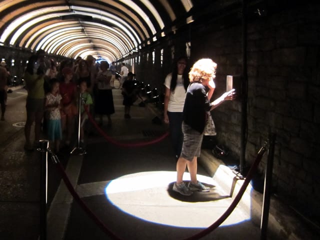 Park Avenue Voice Tunnel