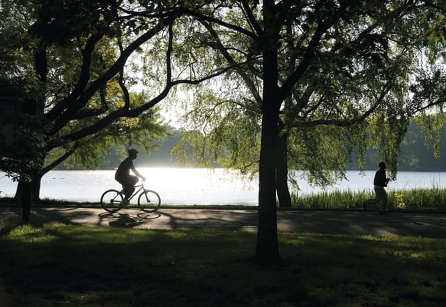 Prospect Park: Olmsted & Vaux's Brooklyn Masterpiece