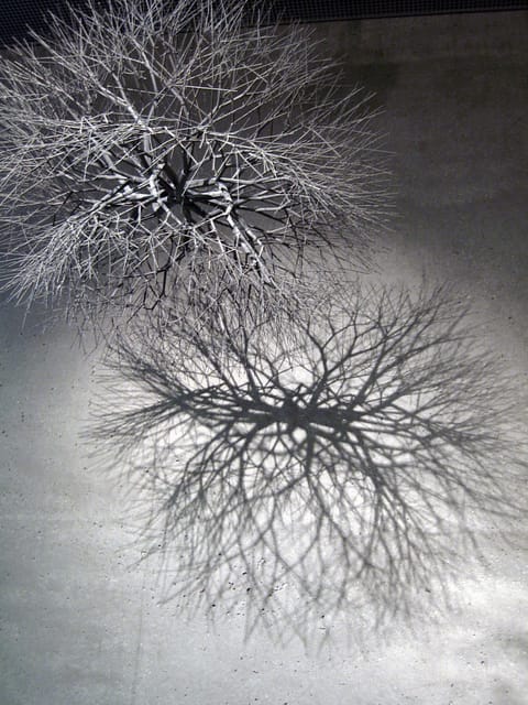Art by Ruth Asawa in the De Young Museum in San Francisco (photograph by Woodlouse, via Flickr)