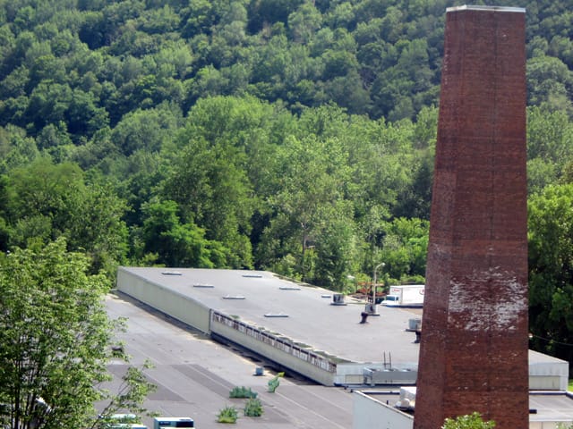 Shana Siegal, "Mildred" (2013), viewed trough binoculars