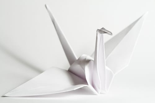 3490351318_d4f5a9e2a1