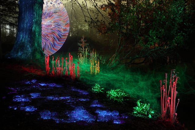 6946606342_566d226a3e_z