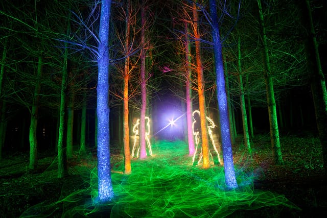 7301606254_4283315a91_z