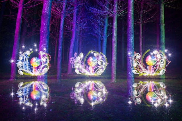 "Forest Flowers Redux" (2013)