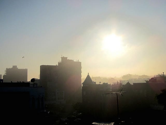 Sunrise from the author's roof in Brooklyn (photograph by the author for Hyperallergic)