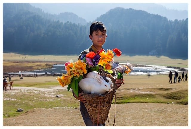 Christine Rogers, "Bunny Boy (Khajjiar)" (2013) (all photographs courtesy of the artist)