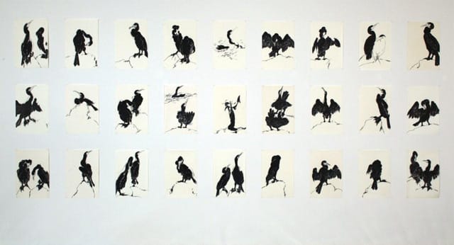 Pat de Groot, "Cormorants" (1990–92), 27 drawings, sharpie felt marker, 18" x 14" (courtesy the artist)
