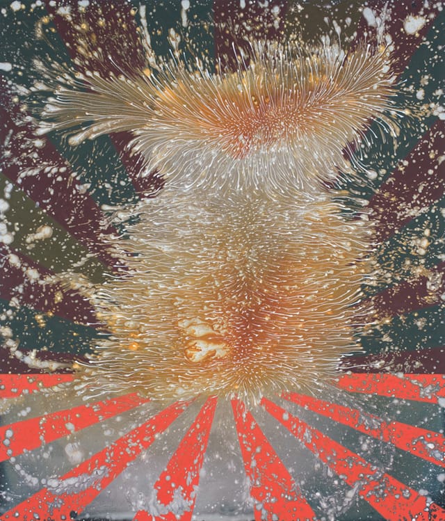 Barbara Takenaga, "Harmo" (2013), acrylic on linen, 42 x 36 inches.