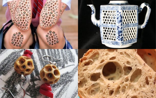 Some of the many images of holes or clusters of holes which are the source of anxiety by sufferers of trypophobia. (images via trypophobia.com)
