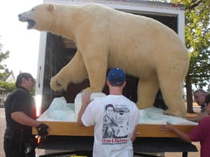 A polar bear on the move at the Jensen Arctic Museum (photograph by Andrew Parodi, via Wikimedia)