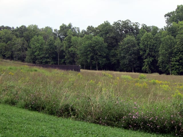 Art by Richard Serra