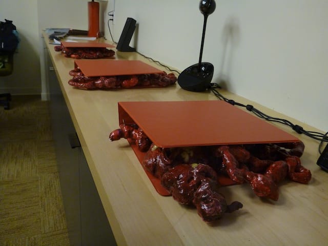 Binders full of entrails. Image by the author for Hyperallergic.