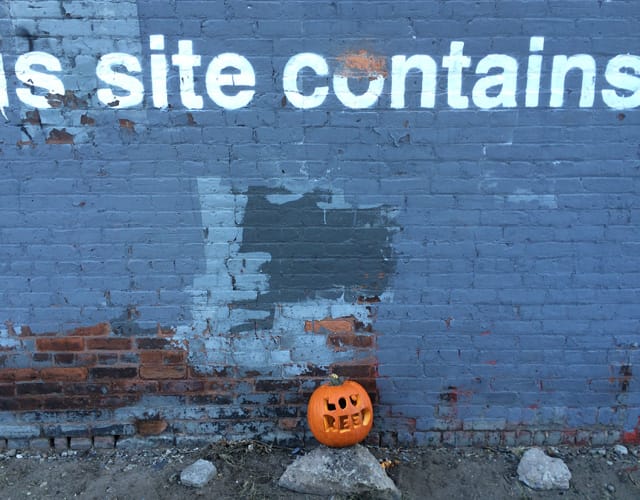 The same West Street Banksy this morning.