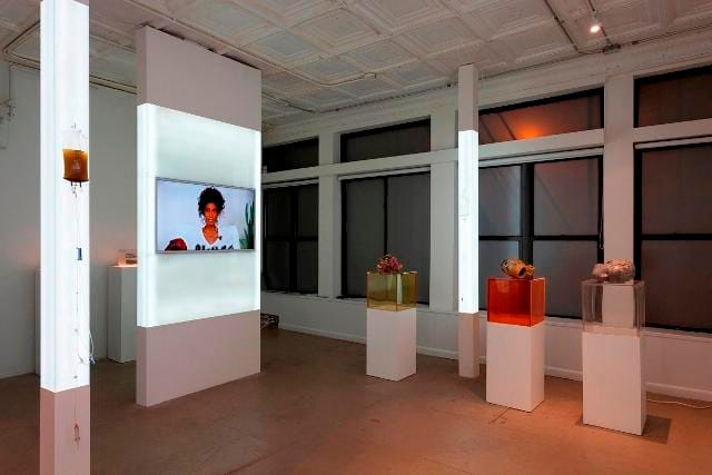 Installation view of QUALITY OF LIFE. Courtesy of 47 Canal. 