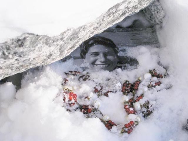 Detail, North Pole, Photographic Installation 2009