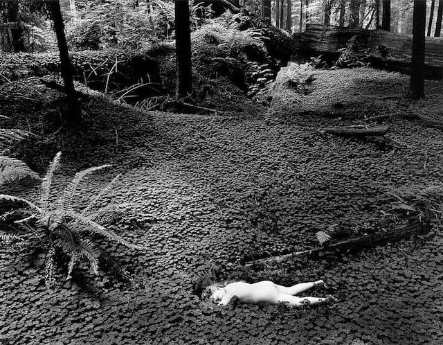 Wynn Bullock (American, 1902–1975), Child in Forest, 1951, gelatin silver print, 7 7/16 x 9 3/8 in., High Museum of Art, Atlanta, purchase, 1978.62. © Bullock Family Photography LLC. All rights reserved