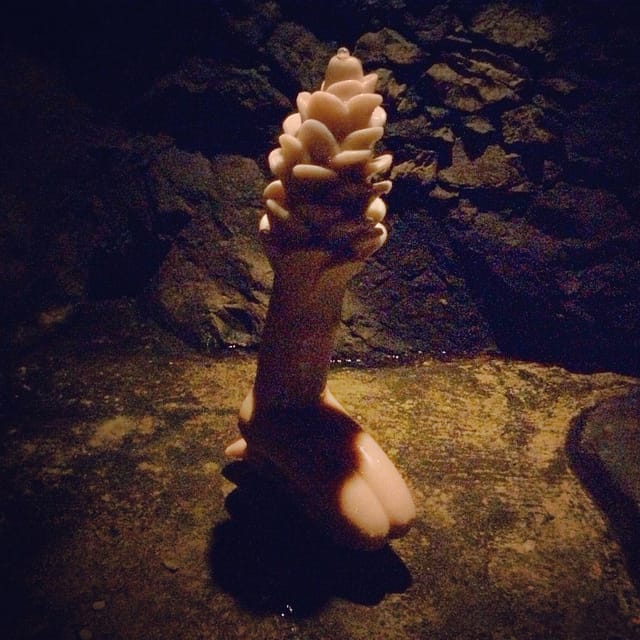 Louise Bourgeois, "Topiary" (2004)