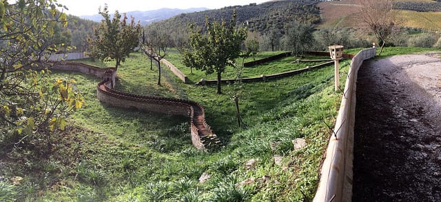 sdfs (all photos by the author for Hyperallergic unless otherwise noted)