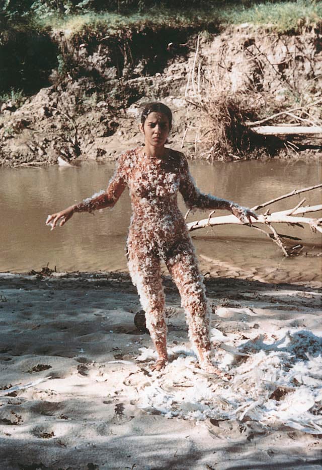 ANA MENDIETA_Untitled Blood and Feathers