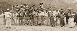 Enlargement and detail of "Departure for the coffee harvest by ox cart, Vale do Paraíba, Brazil, c. 1885" (click to enlarge)