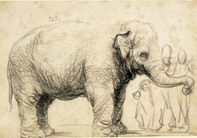 Rembrandt, "An Elephant" (1637), black chalk and charcoal (via British Museum)