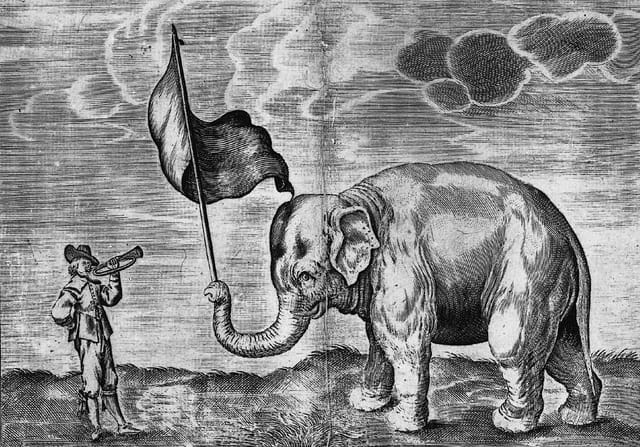 A flag-waving Hansken (via Wikimedia)