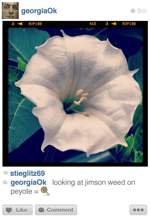 okeeffe-instagram-FULL