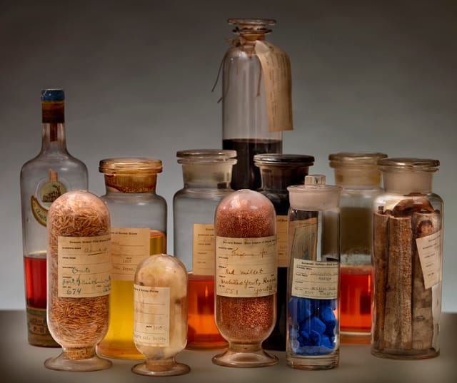 Oils, woods, fibers, and grains in their original glass containers from the fair (© The Field Museum)