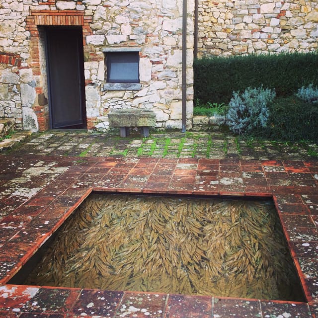 Cristina Iglesias's "Toward the Ground" (2008) with the door to the temporary installation of Marcella Vanzo's "Ama" (2005) to the left. 