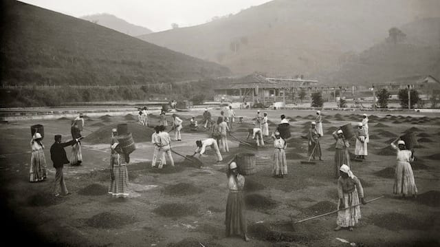 Slaves in the yard of a coffee farm | Vale do Paraíba, c. 1882