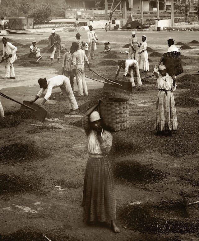 Slaves in the yard of a coffee farm | Vale do Paraíba, c. 1882 _ENLARGE